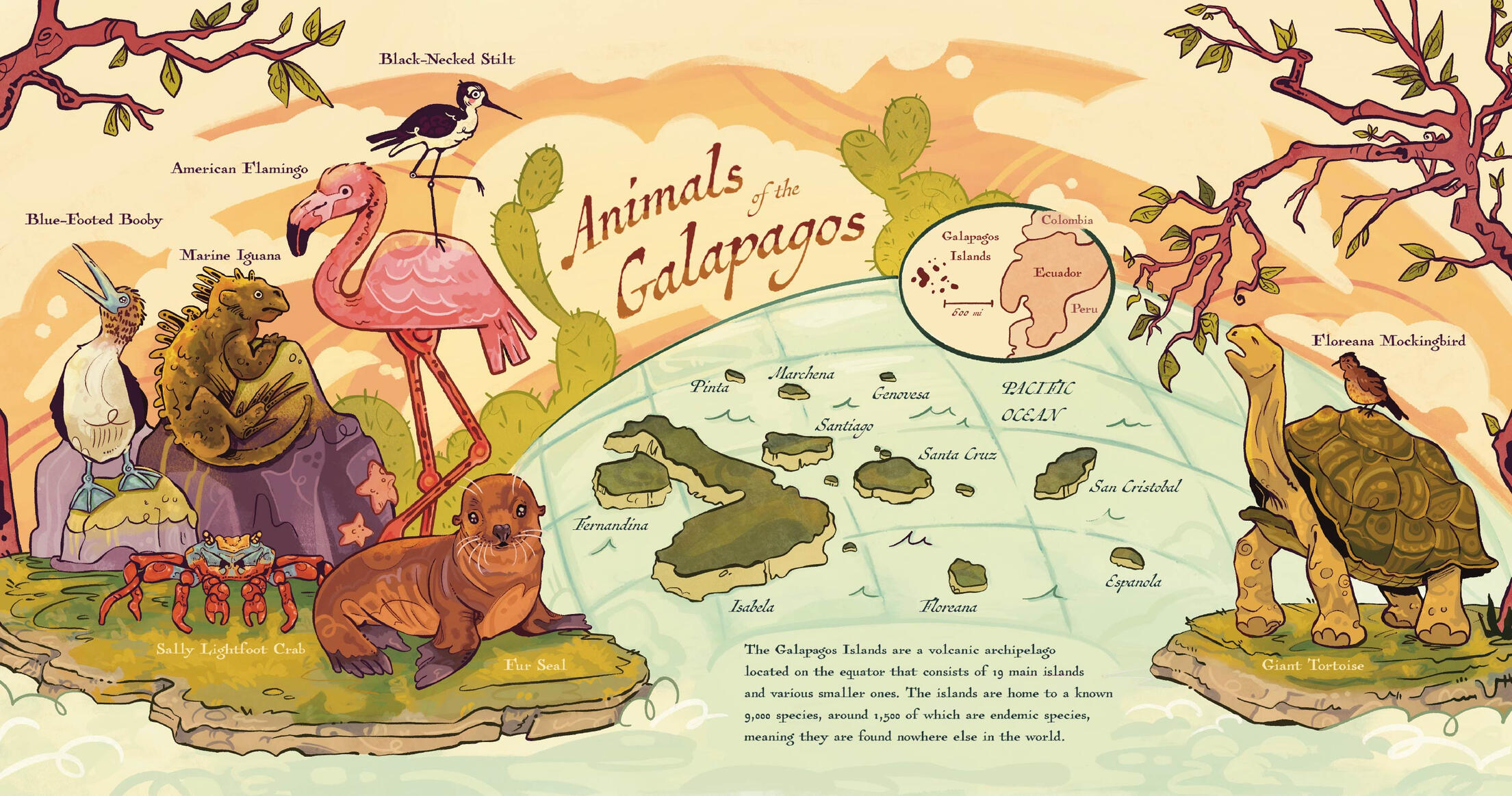 Animals of the Galapagos Map (2026)